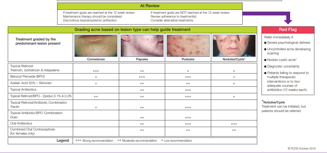 GP Consultation Aid