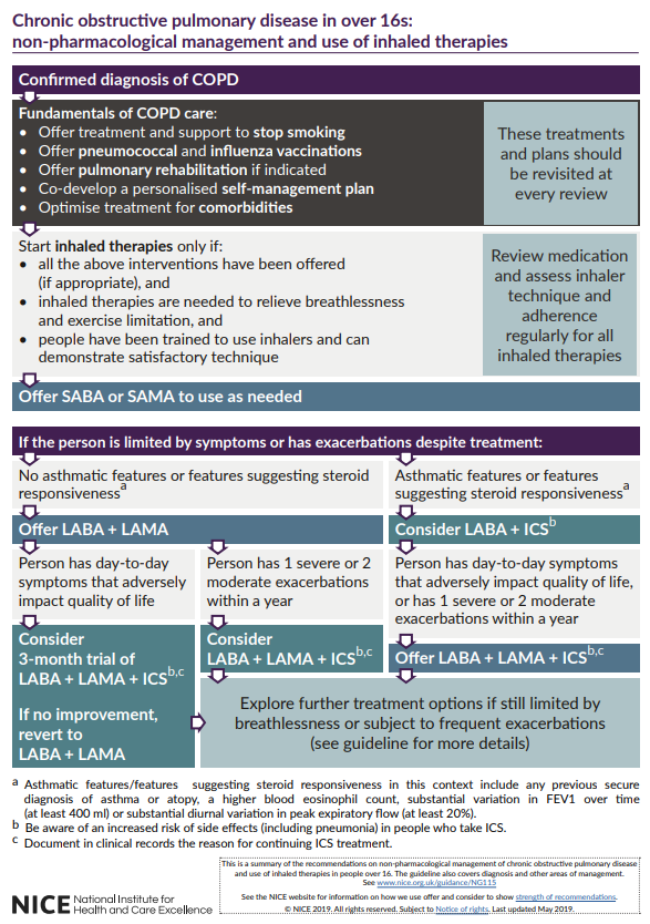 GP Consultation Aid